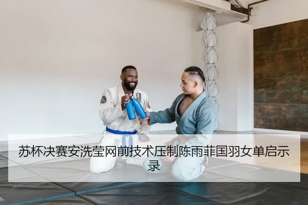 苏杯决赛安洗莹网前技术压制陈雨菲国羽女单启示录